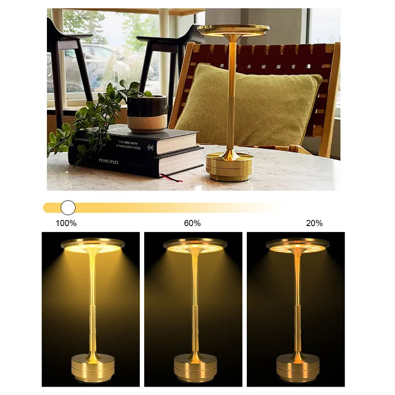 Lamp LED Night Light Brightness Stepless Adjustment 3 Color Dimming